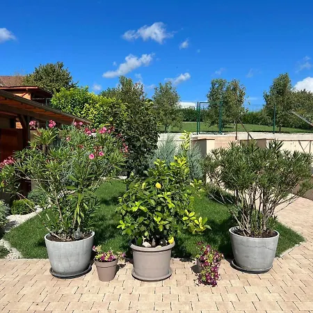 Becehegyi Vendeghaz *