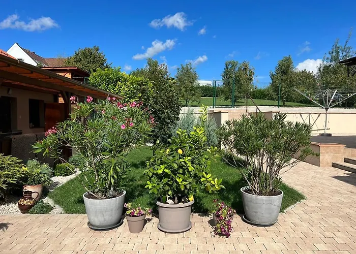 Becehegyi Vendeghaz *